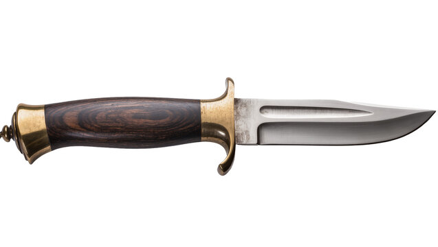 Hunting knife with dark wood handle and brass guard