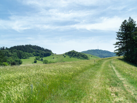 Scenic Green Hills
