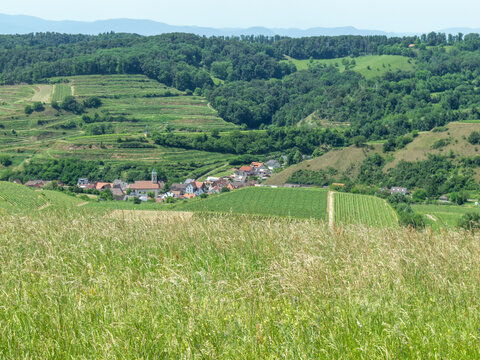 Scenic terraced vineyards and village in a lush valley