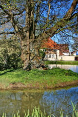 Fototapeta premium Der Menteteich in Alverdissen (Lipperland)