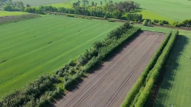 Drone shot showing innovative sustainable farming with long rows of windbreak trees separating fields next to a rural railway line.