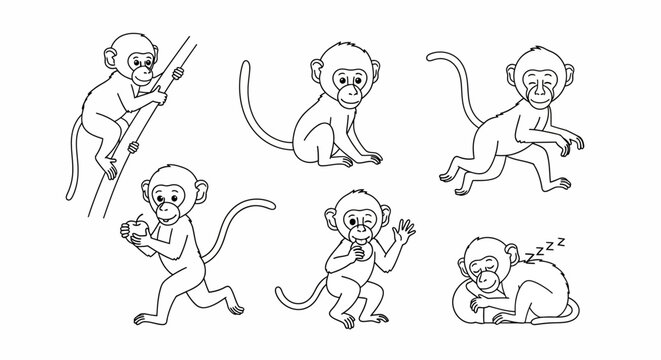 Cute Monkey Character Set in Various Poses, Vector Line Art