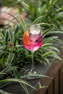 Refreshing pink cocktail with orange slice and ice served in elegant wine glass among lush green plants