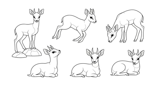 Cute Dik-Dik Antelope Set, Line Art Illustrations of Wildlife