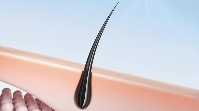3D animation of cosmetic serum dropping and absorbing into hair follicle, cleansing impurities to stimulate hair growth.