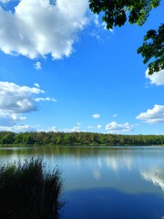 Obraz premium Beautiful vertical landscape of a calm lake or river during a bright sunny summer day. Lush green forest lines the distant horizon under a vibrant blue sky filled with fluffy white clouds reflected 