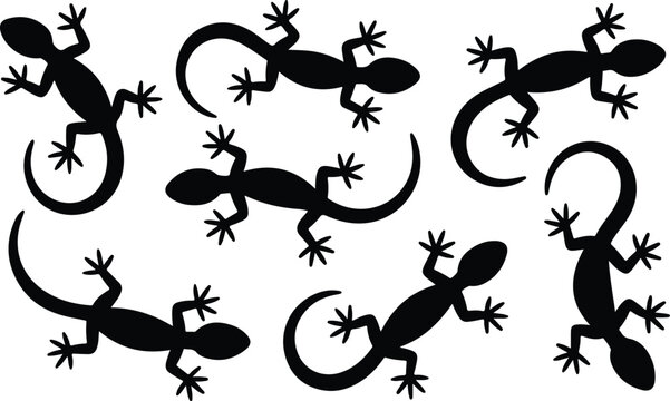 lizard silhouettes