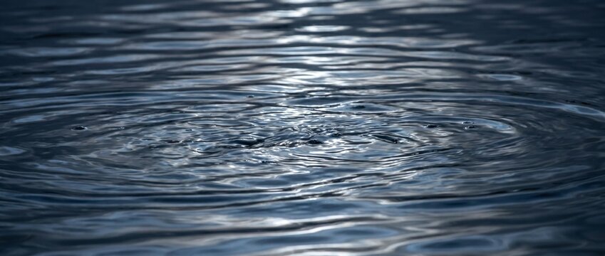 gentle tidal water illuminated by moonlight, silky reflective textures with subtle silver gradients