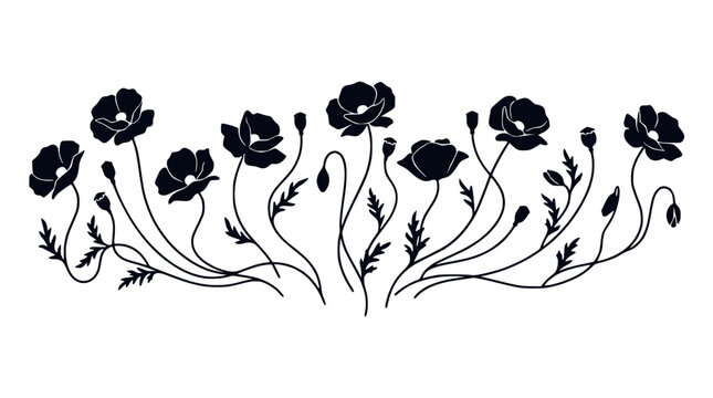 Poppy Flower Silhouette Border Design