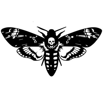 Death's Head Hawk Moth Silhouette Vector