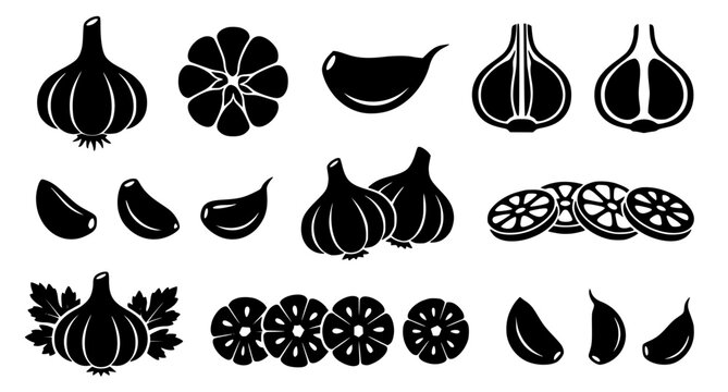 Minimal Garlic Silhouette Collection Vector Food Icons Isolated on White