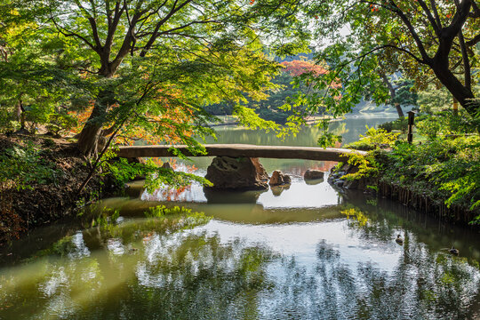 The famous Togetsukyo stone bridge perfectly reflected on the water with ducks at Rikugien Garden November 2023