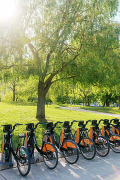 Toronto, Canada - May 26, 2026: Bike Share Station in Sunny Urban Park with Green Trees