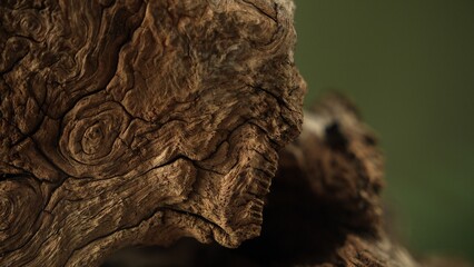Driftwood edge with natural copy space and green background © dkalashnikov