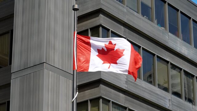 Canadian national flag waving beside a modern office building in bright daylight
