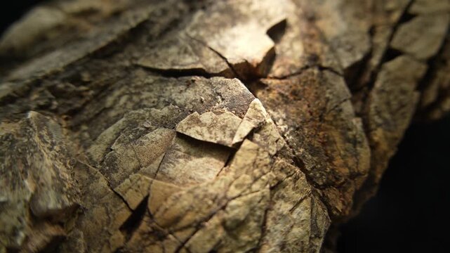 Sunlight moving across weathered stone surface