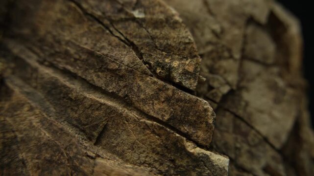 Slow camera glide across weathered stone texture in natural daylight