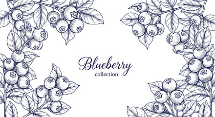 Blueberry collection horizontal border of hand drawn berry branches with leaves and fruits in artistic ink sketch style for organic product labels and menu designs © HexaFrame