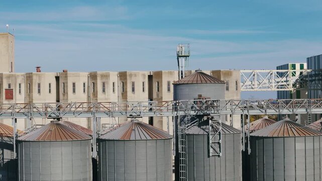 Large grain silos are arranged in a row at an agricultural storage facility under clear skies during daylight.