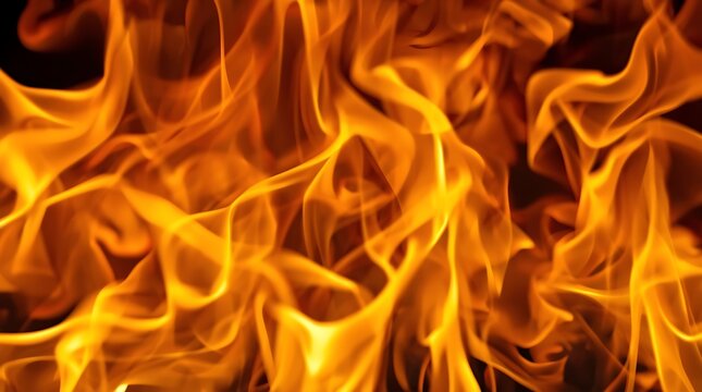 Fiery Flames Dancing Against a Dark Background.