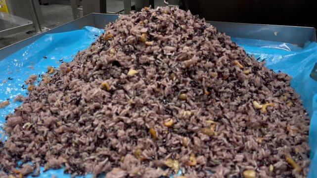 Cooked fried rice being discharged from an industrial mixing kettle after the cooking process. Large-scale food manufacturing operation supporting ready meal production, frozen food manufacturing, and