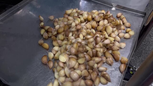 Cooked garlic being transferred from a cooking kettle into trays for weighing and ingredient preparation. Food manufacturing process supporting Bak Kut Teh production and large-scale food processing o