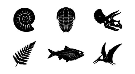 Fossil Icons Set: Dinosaur Skull, Trilobite, Ammonite, Fern, Fish, Pterodactyl © Shakil