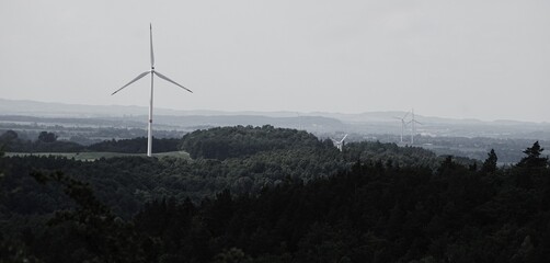 Turbina wiatrowa w lesie © Adam