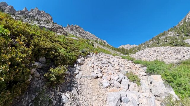 Man Hikes Down from the High Sierras along the John Muir Trail