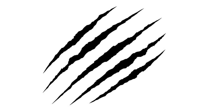 Claw scratch marks isolated on white background