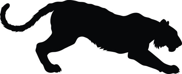 Stalking tiger silhouette vector, prowling wild cat predator profile, black panther hunting animal shape, jungle feline mascot graphic © Zannatul