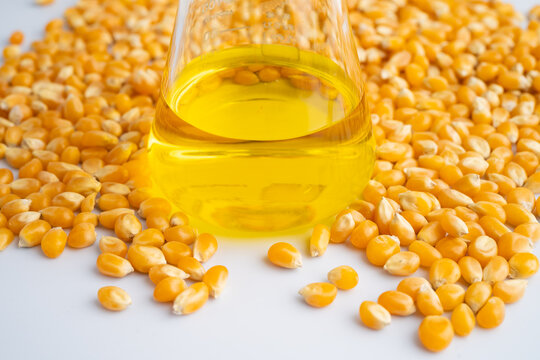 Corn kernel genetic natural chemistry laboratory product research.