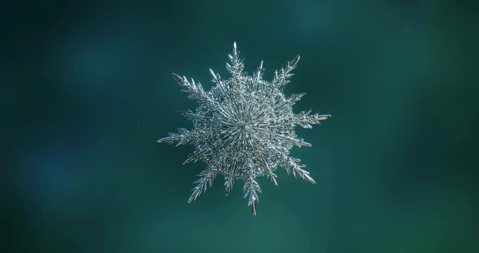 Floating Silver Starburst Ornament on Deep Emerald Green Background