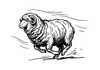 Vintage Hand Drawn Merino Sheep and Ram Sketch Vector Illustration Bundle for Farm, Agriculture, and Wool Industry Branding © Az to Design