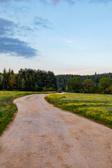 Naklejka premium road in the countryside