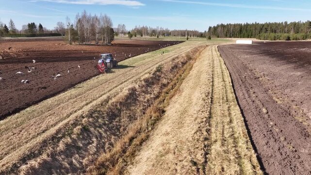 A tractor, accompanied by storks and seagulls, is cultivating the land in the spring. Europe. Baltic. Latvia. Aerial video.