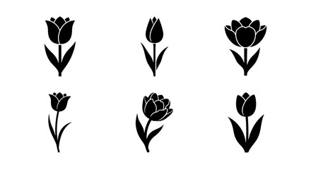 Fototapeta premium Tulip Icons Set, Vector Flower Silhouettes, Spring Floral Graphics