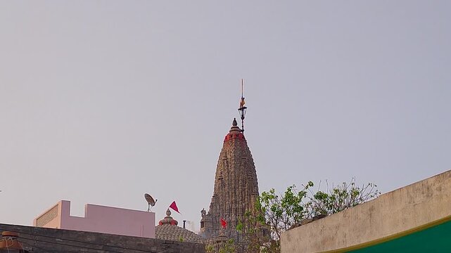 Striking wide shot of priest scaling Dwarkadhish temple pinnacle mid-dhwaja ritual with bird in sky. Rare devotional B-roll for pilgrimage films, Hindu ceremony docs and Gujarat heritage projects.