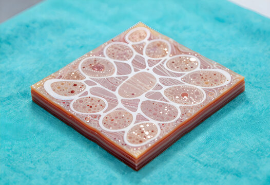 An isolated biocompatible bio-synthetic tissue membrane matrix block component unit resting flat on an unpainted surgical cyan sterilization plate.
