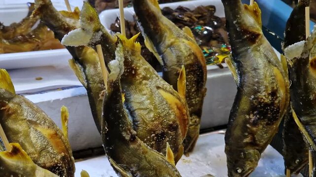 Fish on Sticks at Display of Seafood Restaurant in Kyoto, Japan, Close Up