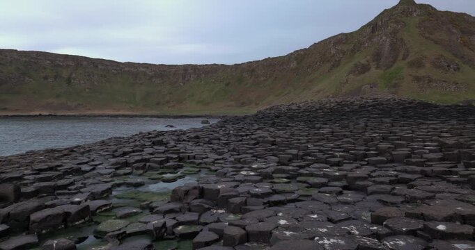 panning shot of bird poo and moss growing on the hexagonal rocks at the Giants Causeway