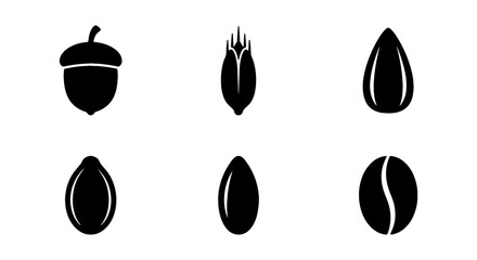 Seed Icons, Plant Seeds, Acorn, Coffee Bean, Vector Graphics, Organic Elements © Sumon