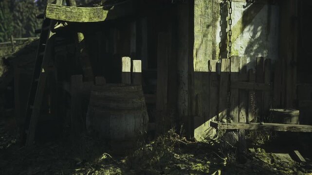 Closeup barrel detail beside wooden wall with sunlight and moss, aged hoops and textured grain highlighting craft and decay of rural polish storage, tactile