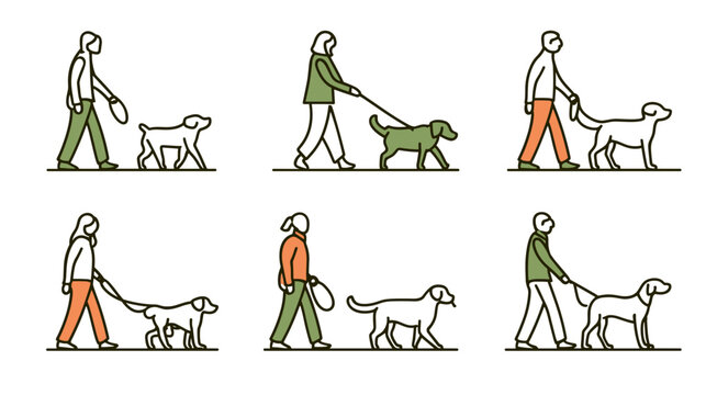 Person Walking Two Dogs on Leashes in a Park During Daytime Outdoor Activity