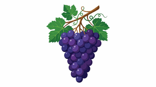 Freshly picked purple grape cluster with green leaves, ready for consumption or culinary use.