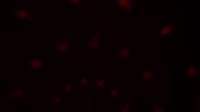 licht blau rot gr&uuml;n video