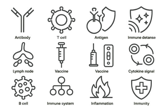Medical icons: immune system, antibody, vaccine, inflammation, immunity