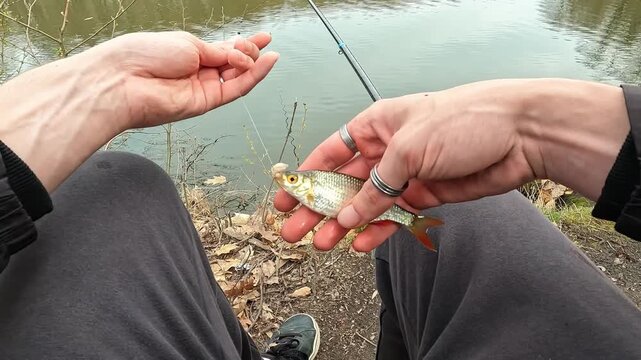 POV Angler Holding Fresh Caught Common Roach (Rutilus rutilus) by Tranquil Forest Lake
