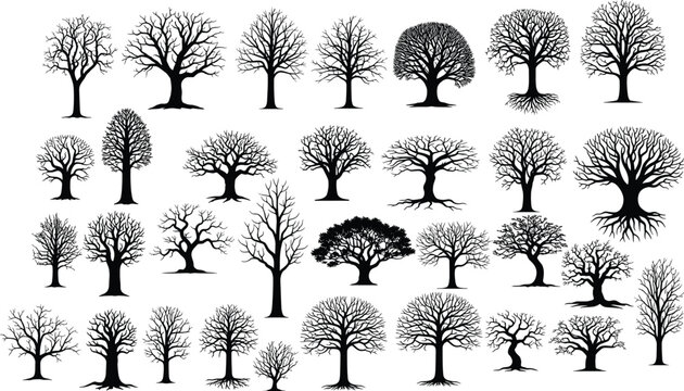 Leafless Tree Silhouette Collection Set with Bare Branch Winter Trees Isolated Vector Illustration