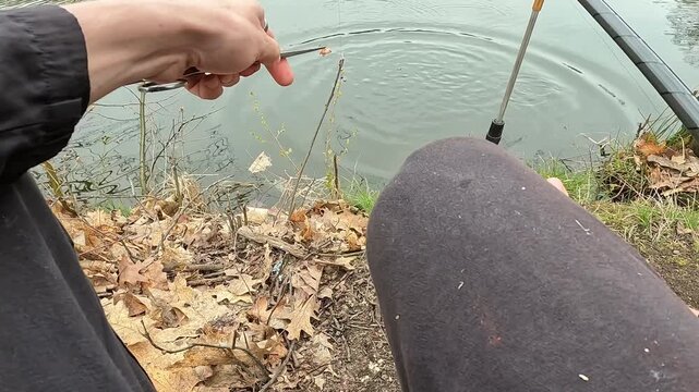 Fisherman Holding Small Common Roach (Rutilus rutilus) and Throwing Bait into Lake Water